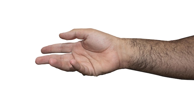 male hand and arm isolated on white background ready to shake hands