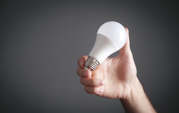 Male hand holding light bulb.