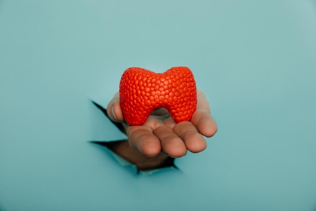 Male hand showing a thyroid out of a hole torn in blue paper wall Health care pharmaceutics and medicine advertisement