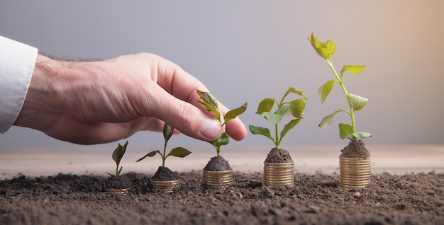 Male hand stack of coins with plant