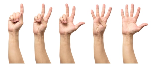 Male hands counting from one to five isolated