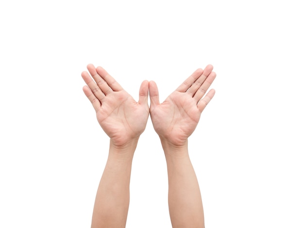 Male hands gesture wings white isolated