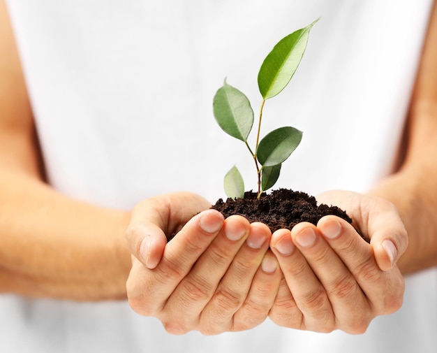 Male hands holding soil and plant closeup