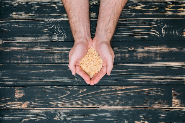 In male hands wheat grain on black wooden background