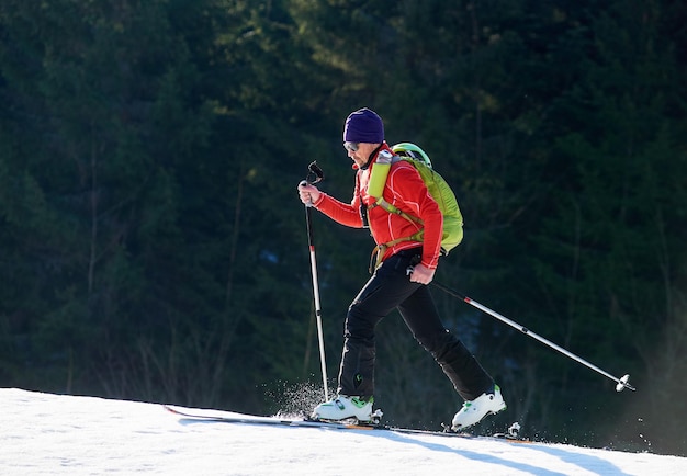 Male hiker with backpack traveling on skis on background of spruce trees Active winter holiday