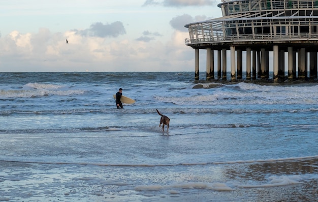 The male and his dog walking on the sea shore in the morning Scheveningen beach North Sea The Hague Netherlands