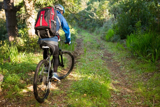 male man mountain biker riding bicycle in the forest