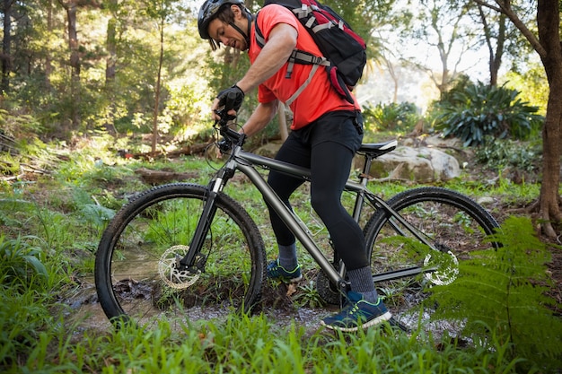 Male mountain biker riding bicycle in the forest