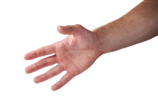 Male palm on a white background