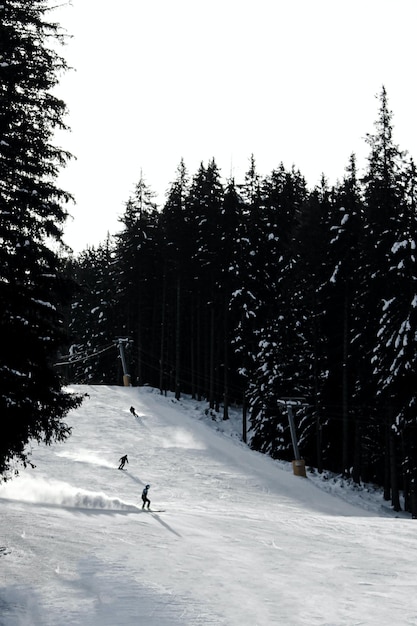 male skier skiing downhill trough deep powder snow