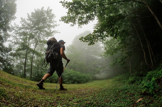 Male tourist with backpack walking through forest