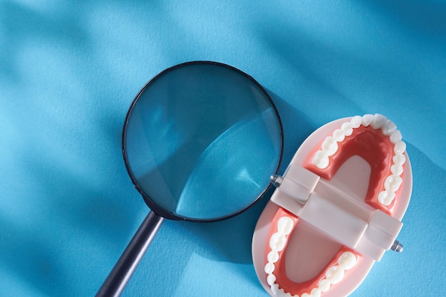 Mamgnifying glas and model tooth