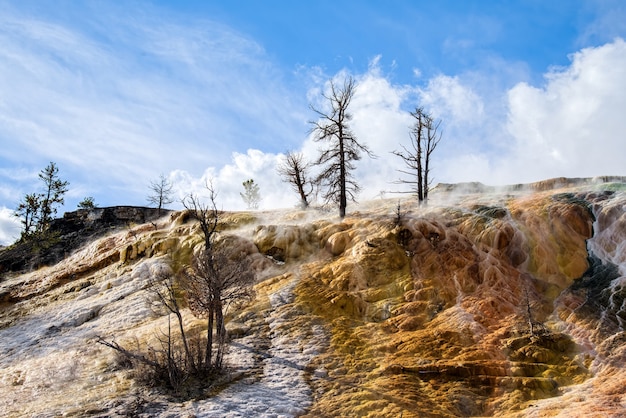 Mammoth Hot Springs in Yellowstone National Park