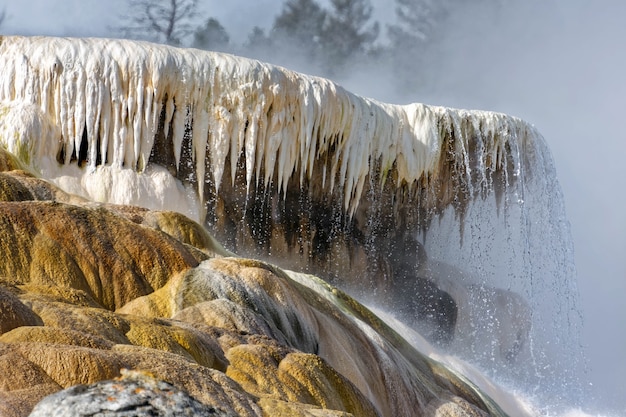 Mammoth Hot Springs