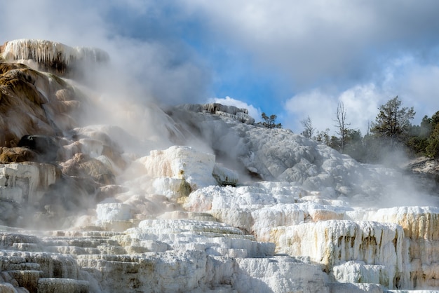 Mammoth Hot Springs