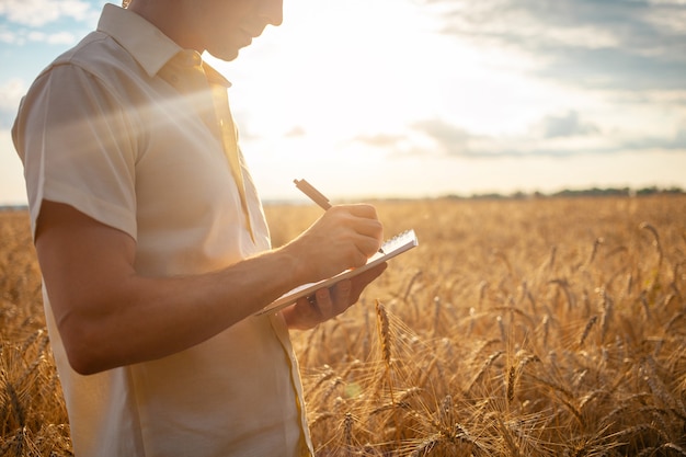 Man agronomist in a wheat field