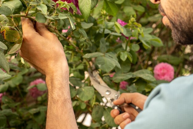 Photo man cutting flowers tree with tree scissors