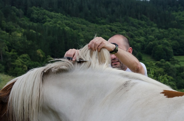 Man cutting horsehair with scissors