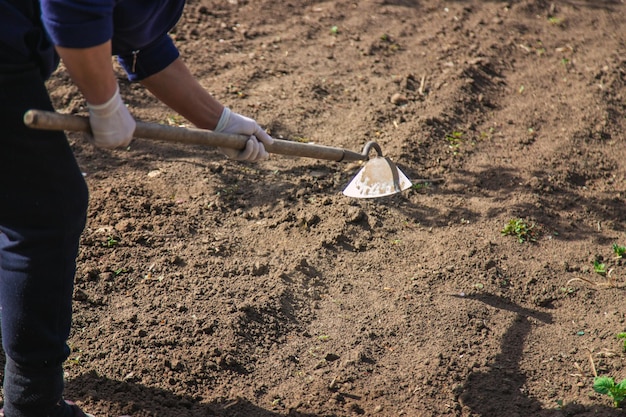 A man digs the earth in the garden Selective focus