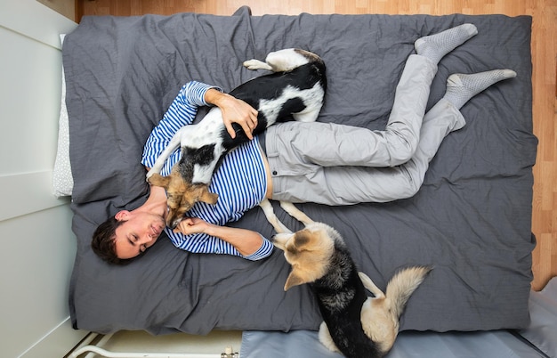 Man and dogs lying on bed with gray sheet