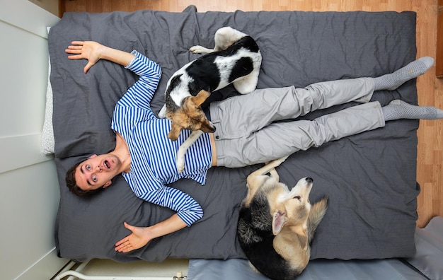 Man and dogs lying on bed with gray sheet