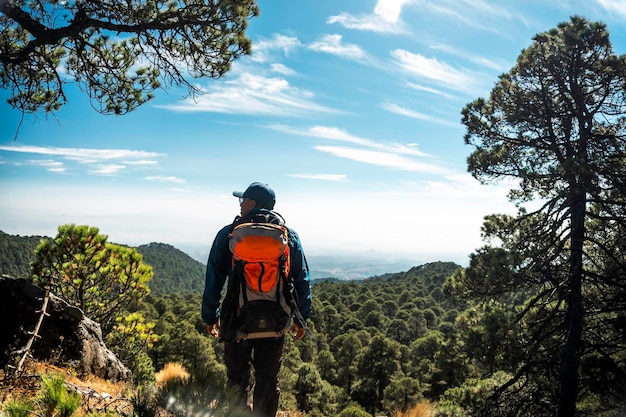 Man exploring nature in the forest