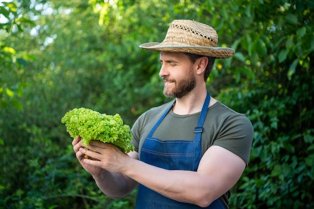 Man farm worker in straw hat with lettuce leaves