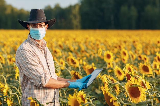 Man farmer agronomist in gloves and face mask at sunflower field with tablet checking harvest.