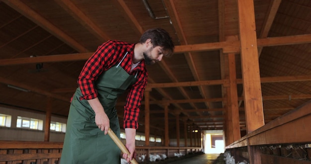 Man farmer giving fresh hay to goat standing barn stall Farm employee feeding cattle herd in farmland Man caring domestic animals in modern goats farm