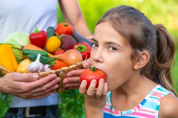 A man farmer holds vegetables in his hands and a child. Selective focus. Food.