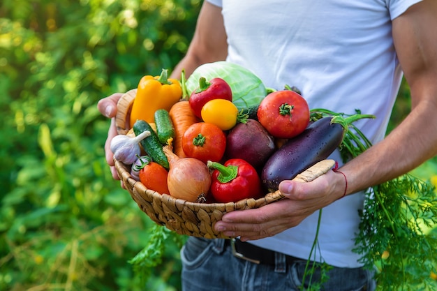 A man farmer holds vegetables in his hands. Selective focus.