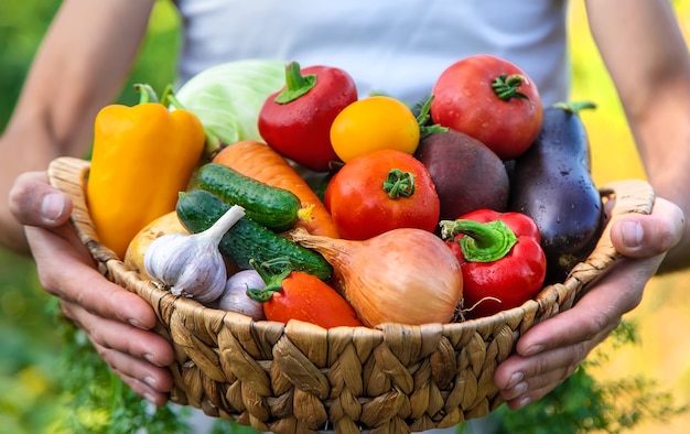 A man farmer holds vegetables in his hands. Selective focus.