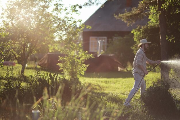 Man farmer watering a vegetable garden in the evening at sunsetxA