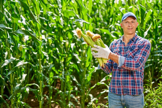 Man farmer with a crop of maize.