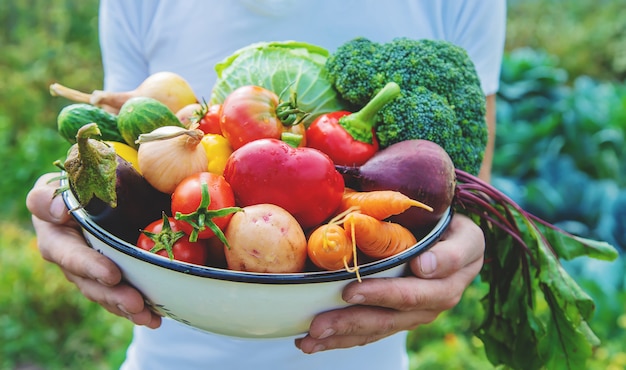 Man farmer with homemade vegetables in his hands. Selective focus.