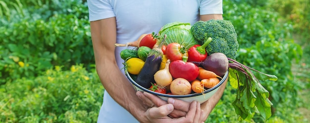 Man farmer with homemade vegetables in his hands. Selective focus.