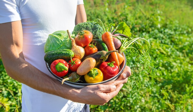 Man farmer with homemade vegetables in his hands. Selective focus.