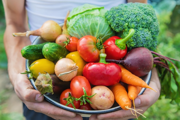 Man farmer with homemade vegetables in his hands. 