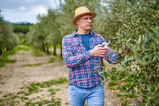 Man farmer with straw hat at olive plantation.