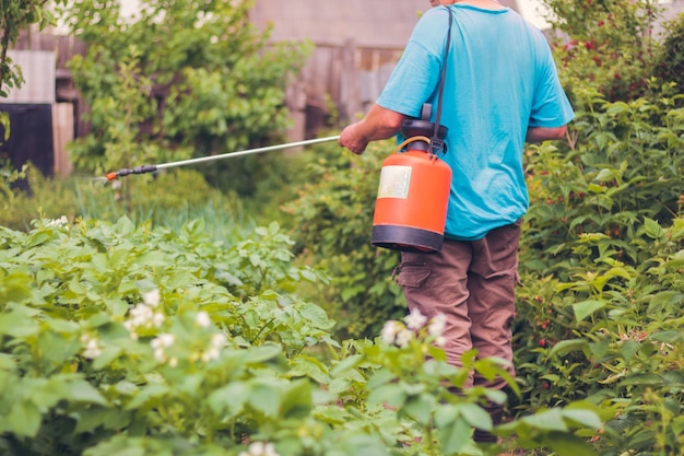 Man gardening in the summer