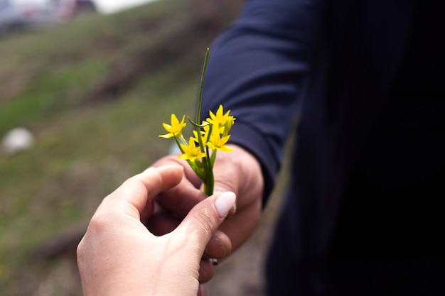 man giving a yellow flowers to woman hand