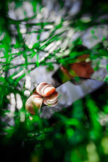 Man in the grass