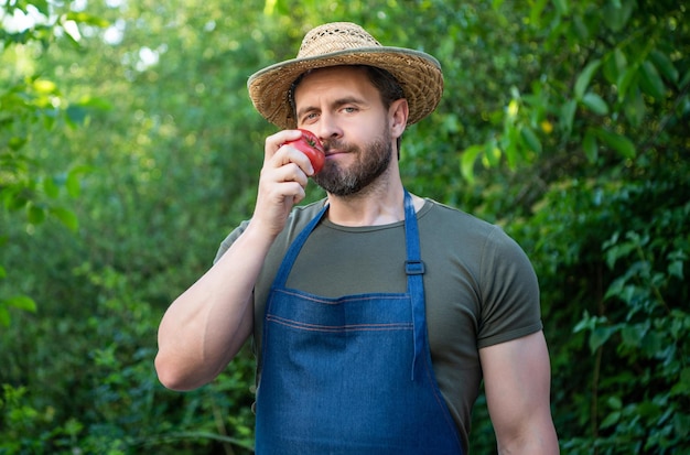 Man greengrocer in straw hat smell tomato vegetable