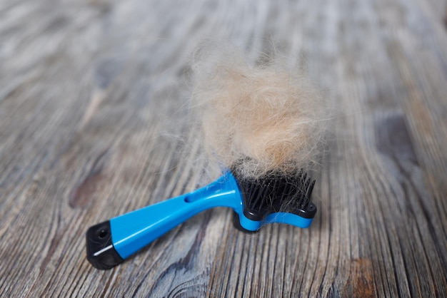 Man grooming cat with special gloves pet care