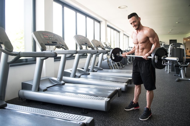 Man In The Gym Exercising Biceps With Barbell