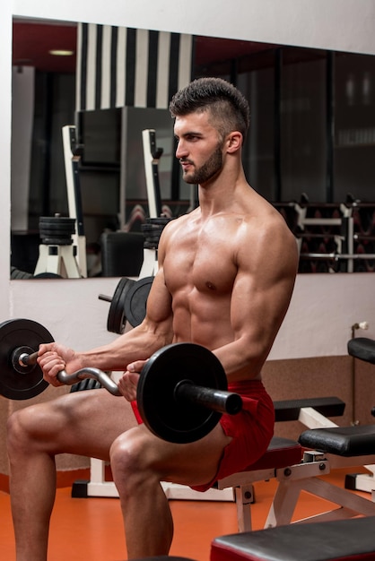 Man In The Gym Exercising Biceps With Barbell