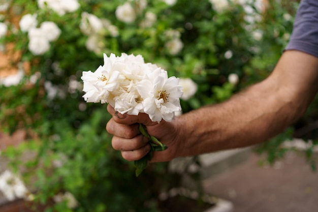 Man hand holding a bunch of white roses in the garden