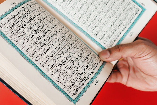 Man hand holds opened quran on a plain burgundy space.