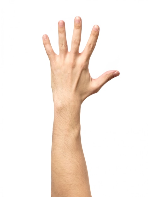 Man hand showing gesture isolated