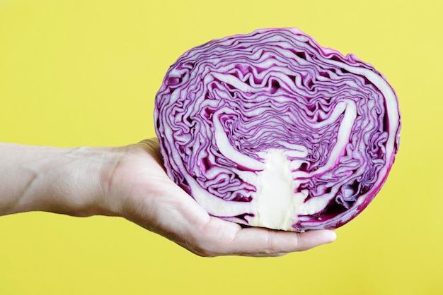 Man hand showing a red cabbage against yellow background